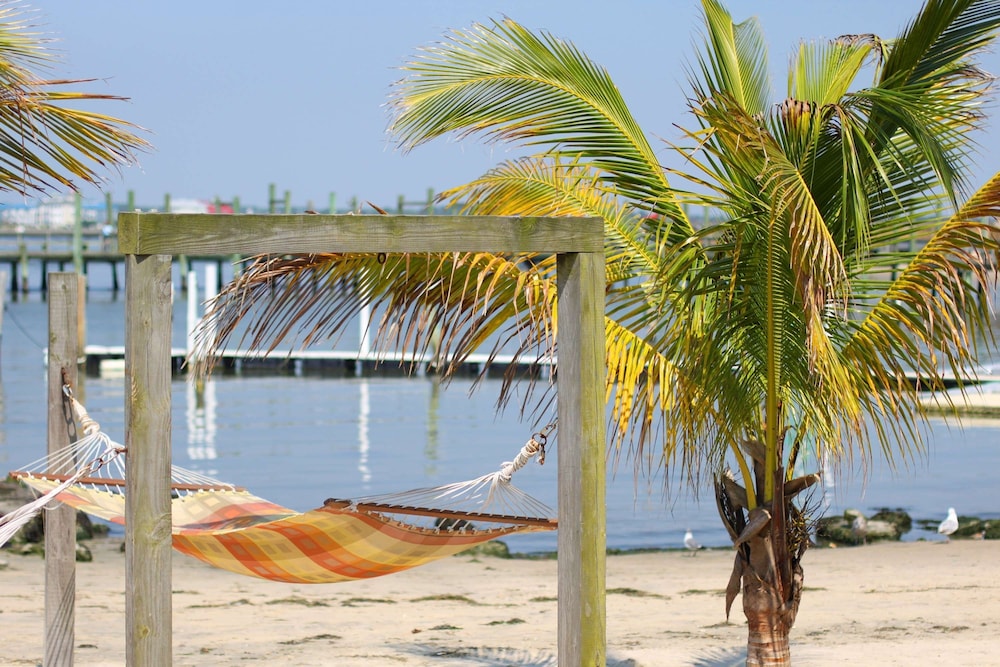 Oceanic Motel - photo 45