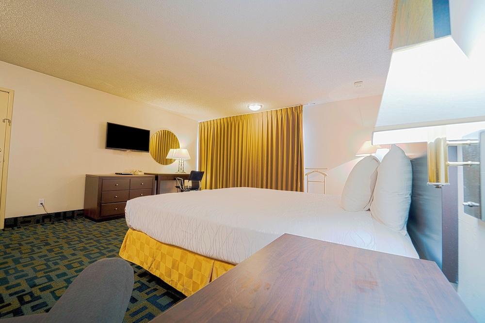 Royal Plaza Inn Indio - photo 31