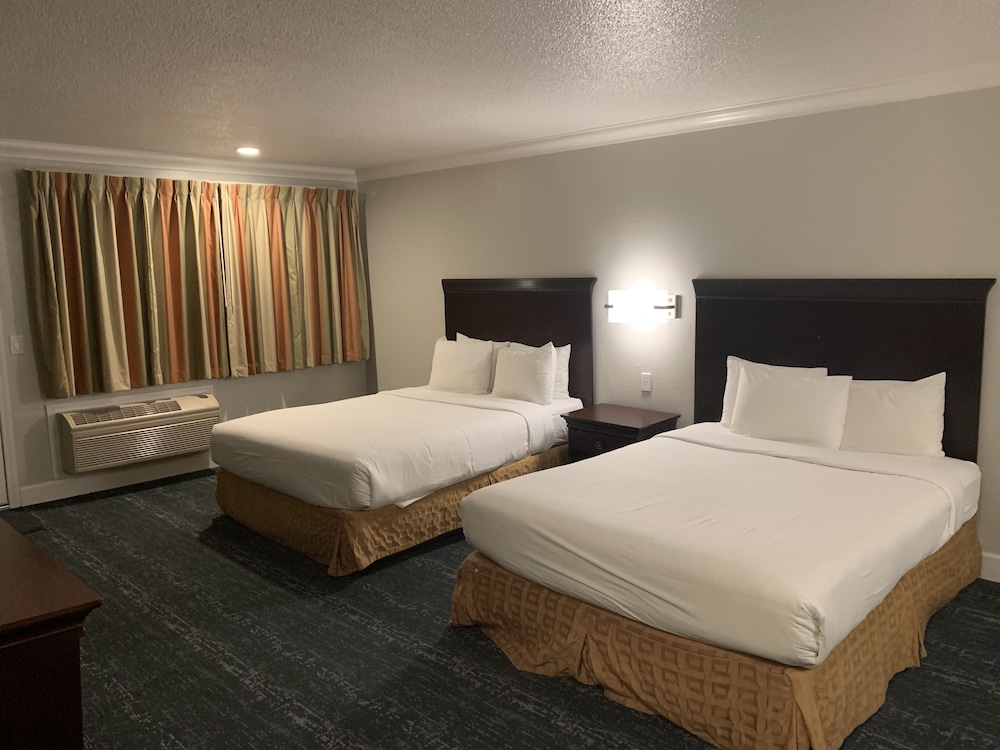 Stargazer Hotel - photo 15