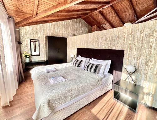 Penthouse Apartment 401