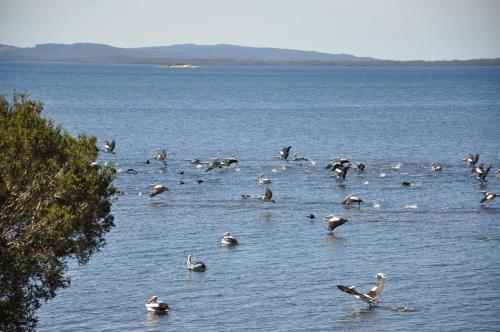 Denmark Waters B&B — 4-Star Luxury Hotel in Denmark, Australia