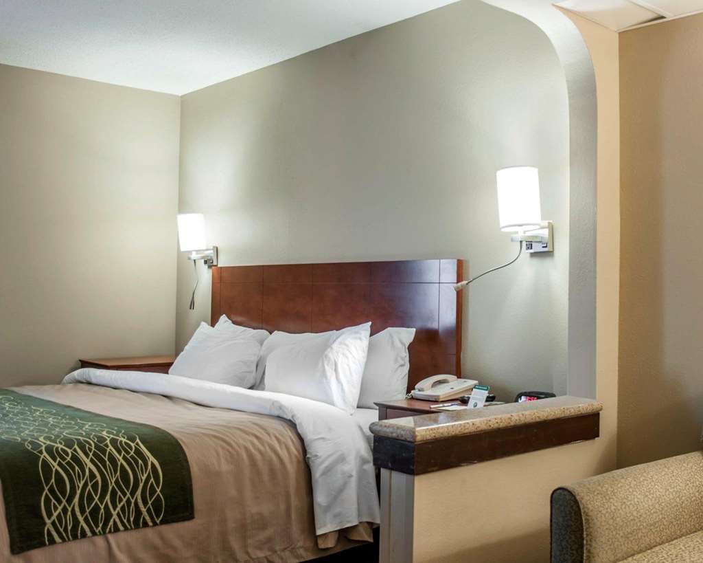 Quality Inn & Suites near St. Louis and I 255 - photo 6