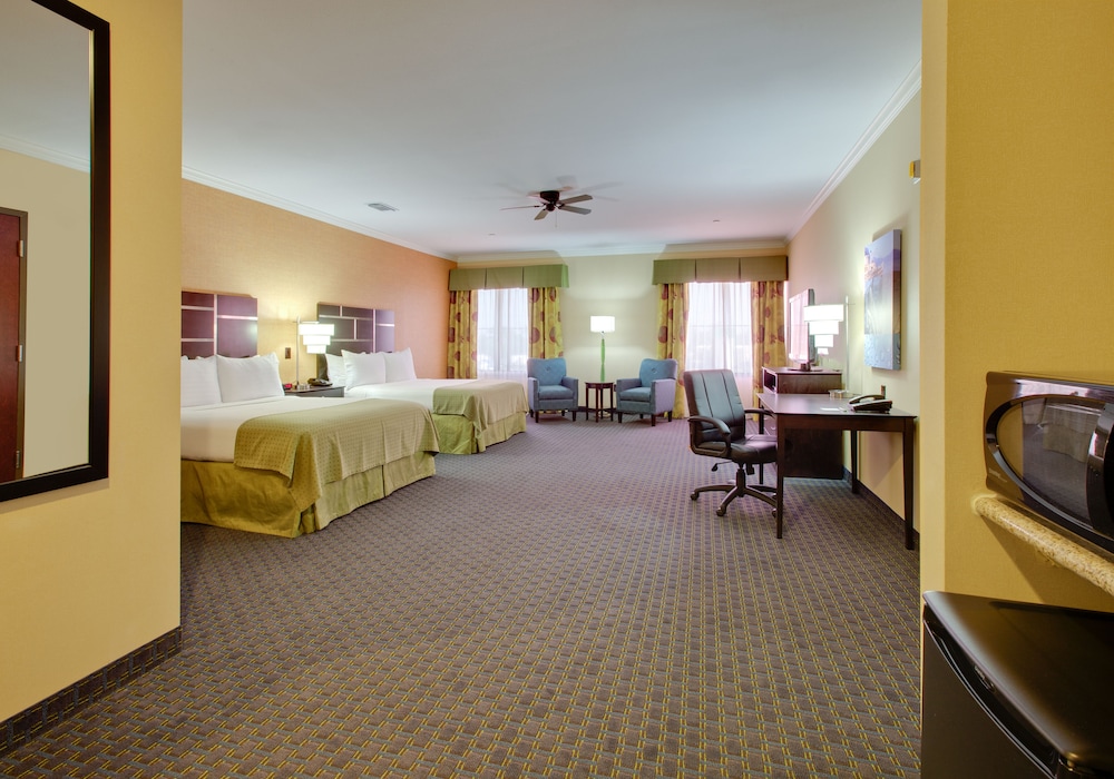 Holiday Inn Houston East Channelview by IHG - photo 2