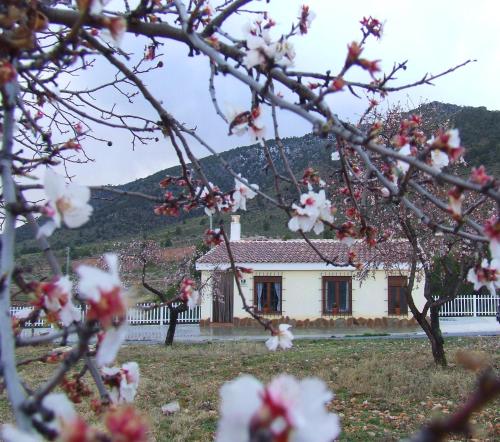 Vivienda Rural Embalse San Clemente — hotel in Huescar
