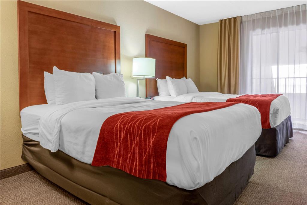 Comfort Inn Albuquerque Airport - photo 12