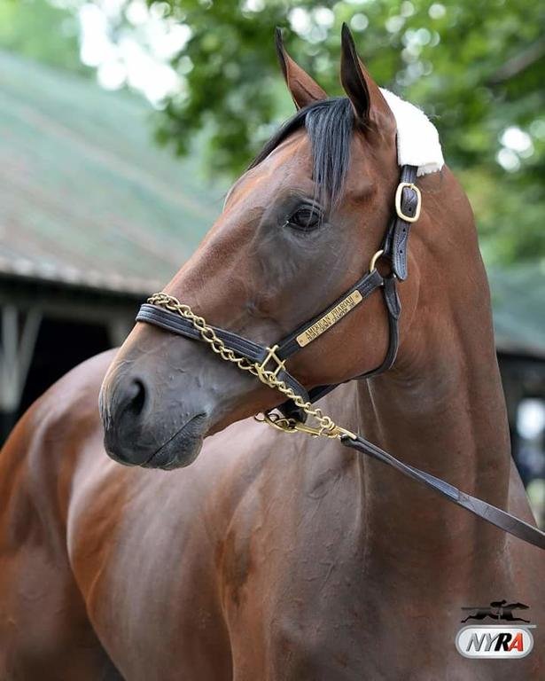 Paradise Resort and Cabins in Saratoga Springs, United States