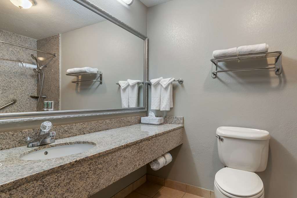 Best Western Auburn Opelika Inn - photo 24