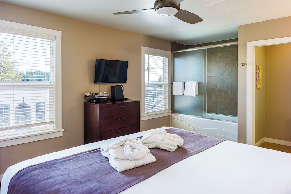 Bird Rock Hotel - photo 25