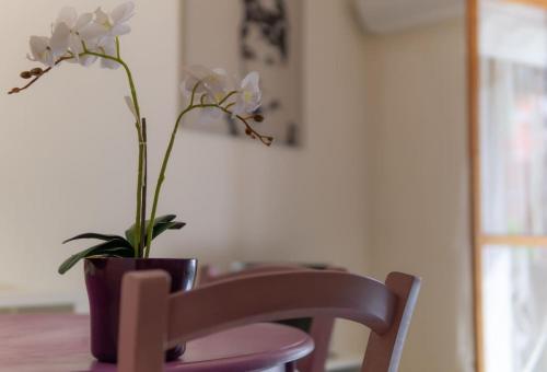 San Domenico Apartments 3 Casa Vacanze al mare — 4-Star Luxury Hotel in Pietra Ligure, Italy