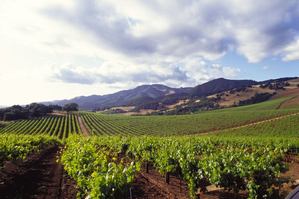 Harmon Guest House - photo 2