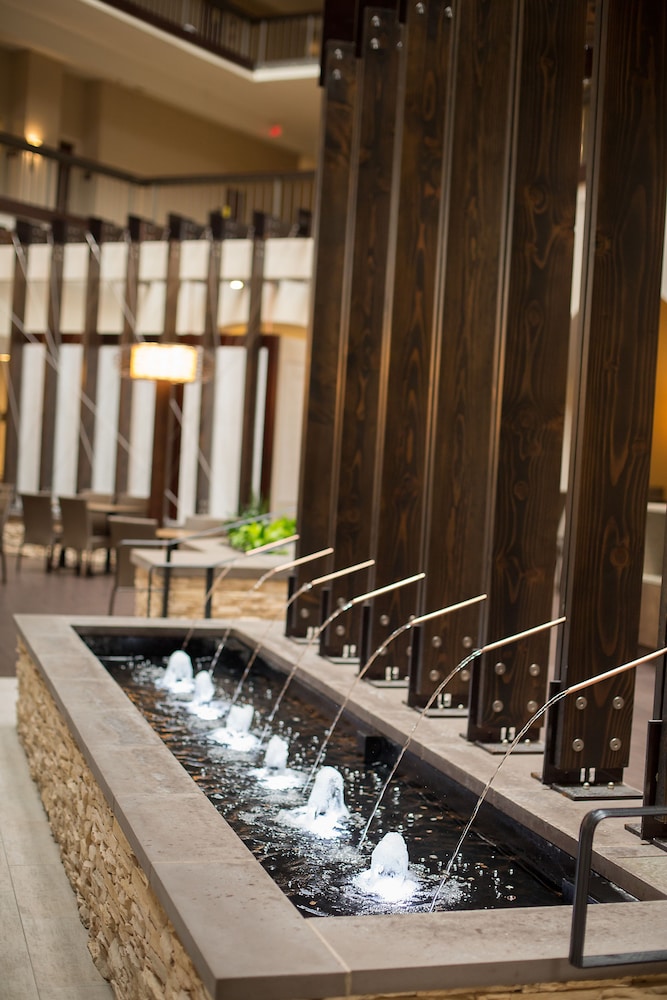 Embassy Suites by Hilton Dallas Love Field - photo 45