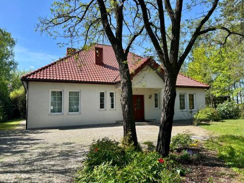 Villa Otolice obok Łowicza 6 sypialni basen sauna snooker 50 minut od Warszawy i Łodzi — 4-Star Luxury Hotel in Lowicz, Poland