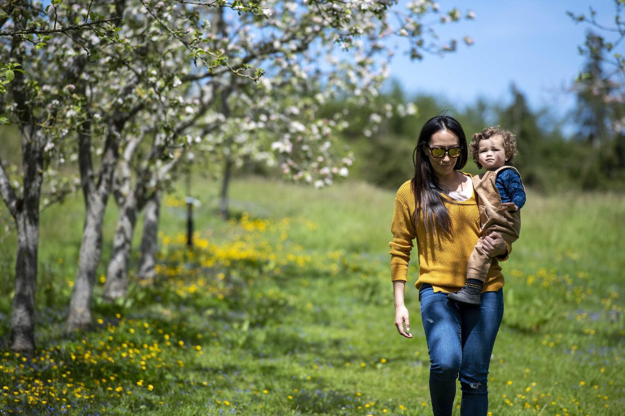 Torre Cider Farm in Watchet, United Kingdom