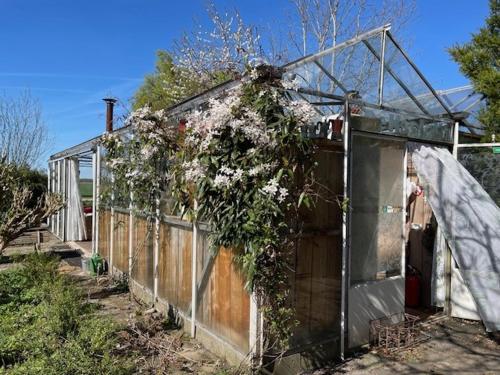 Vrijstaande accommodatie Glamping de Kas InN — hotel in Werkendam