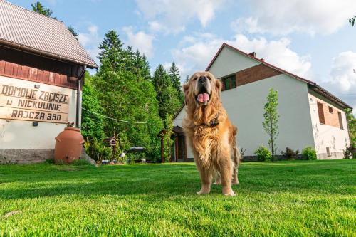 Domowe Zacisze w Nickulinie — hotel in Rajcza