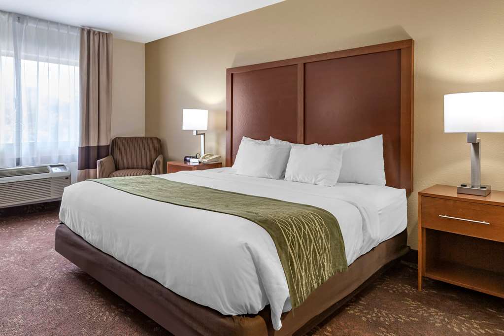 Comfort Inn Okemos East Lansing - photo 10