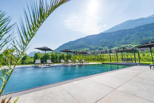 Ferienwohnungen Zwerger Reinhold — 4-Star Luxury Hotel in Termeno, Italy