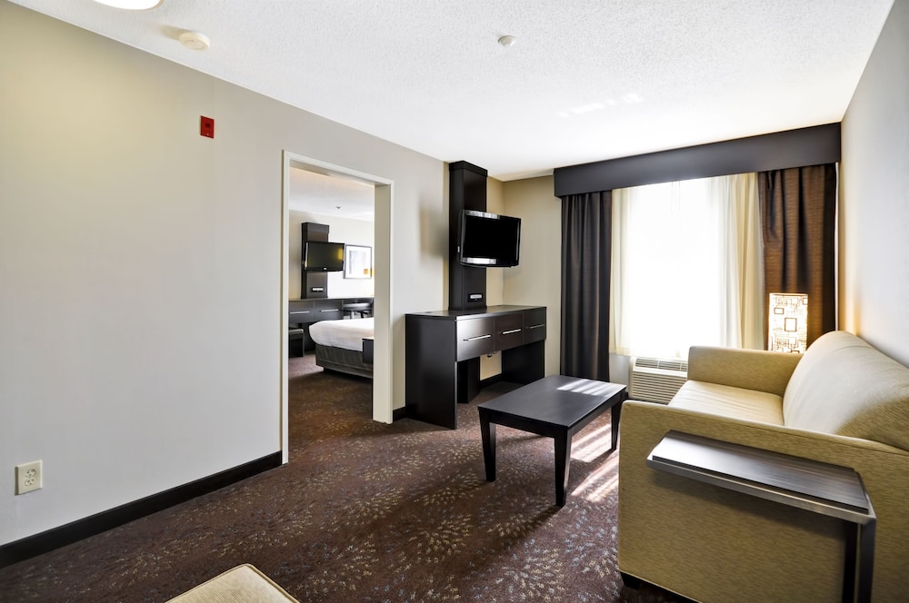 Holiday Inn Express Romulus Detroit Airport - photo 10