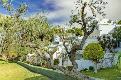 Las Palmas Oasis de Capistrano in Nerja, Spain
