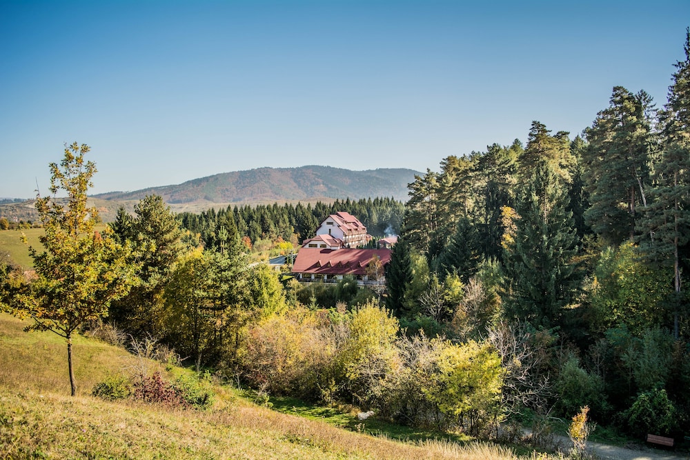 Hanul Muresenilor — hotel in Sacele