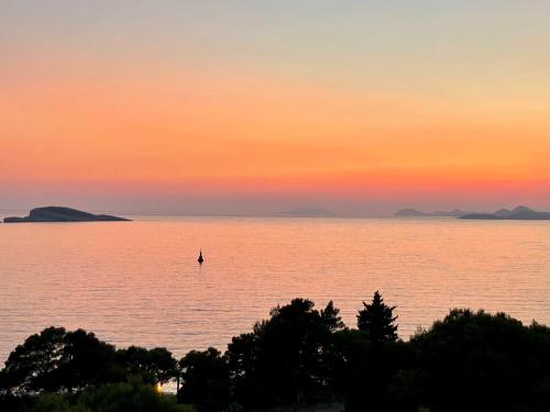 Villa Lizza — Cavtat — photo 2
