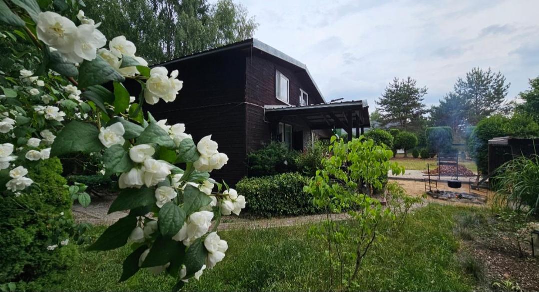 Dom Letniskowy Przy Lesie Nad Jeziorem — hotel in Rogowo