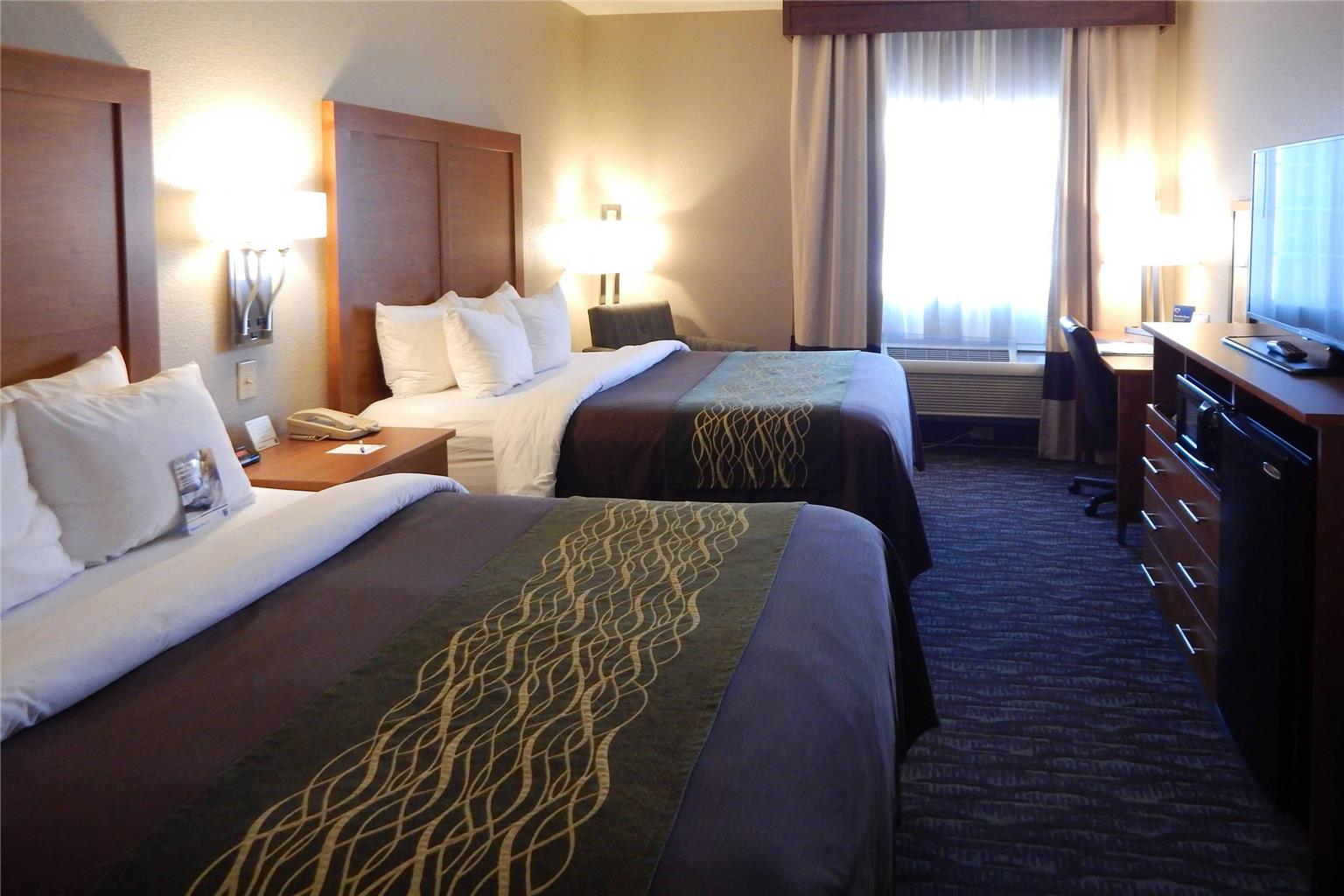 Comfort Inn & Suites Las Cruces Mesilla - photo 4
