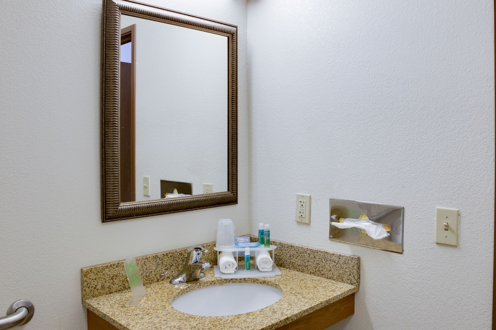 Holiday Inn Express Hotel & Suites Dubuque by IHG - photo 15