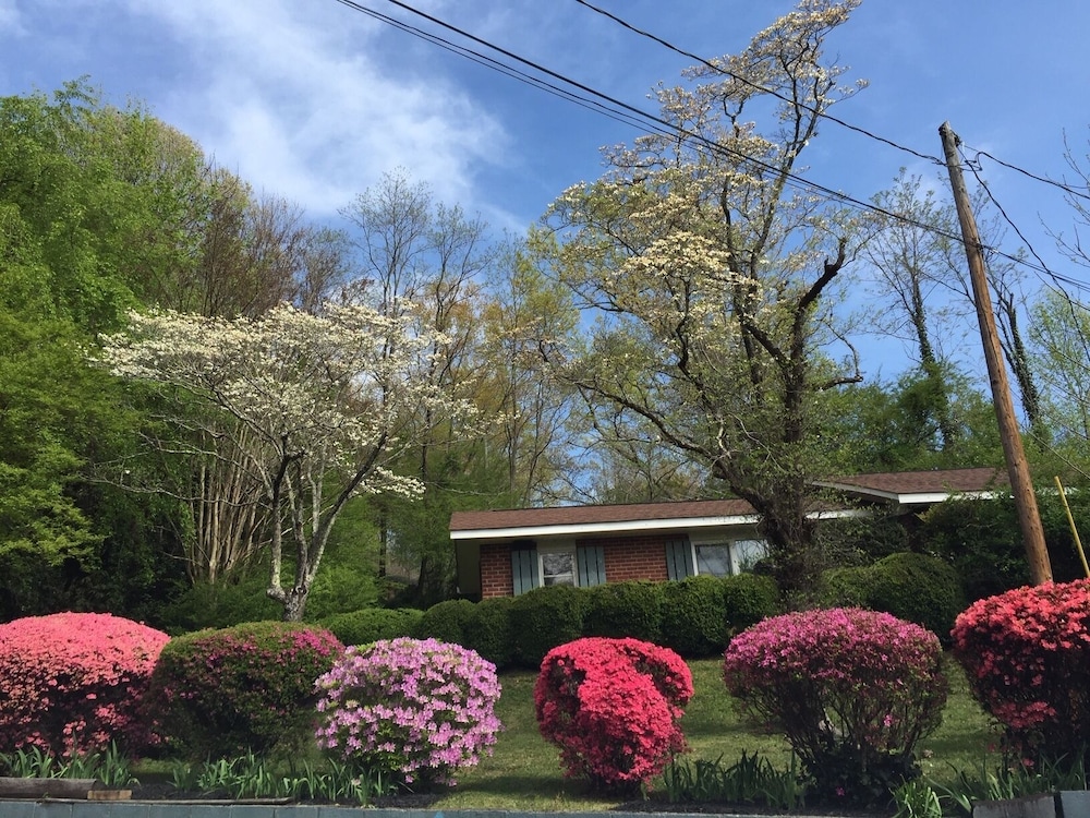 Mountain Aire Cottages & Inn - photo 300