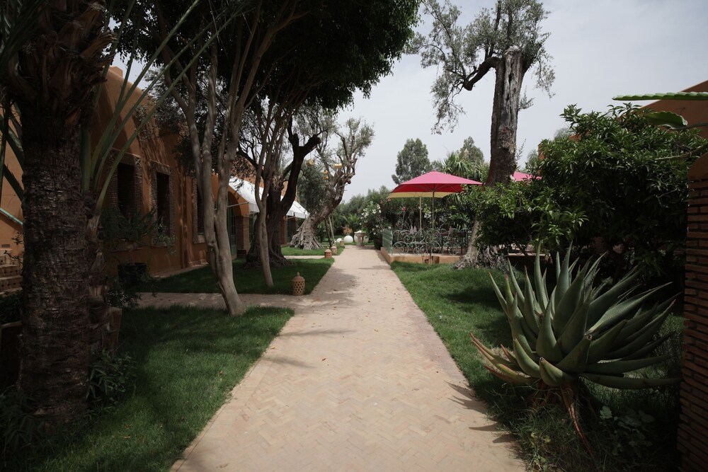 Dar Gonzo - carbon neutral hotel in Marrakesh