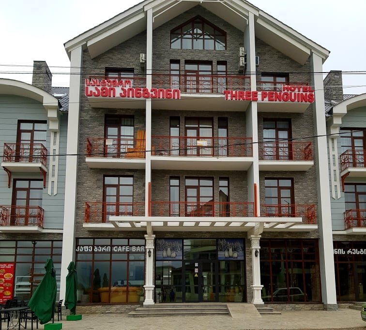 Three Penguins in Bakuriani, Georgia