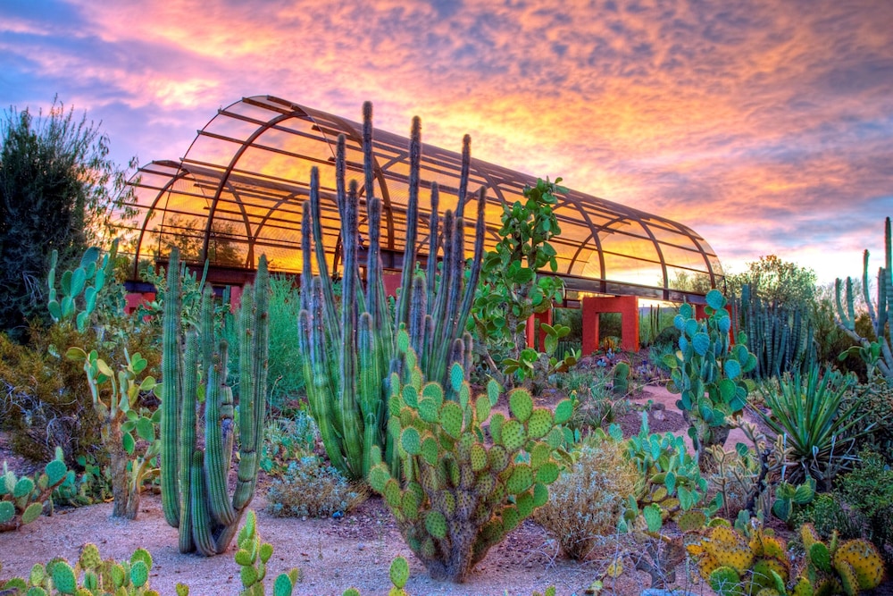 Holiday Inn Express & Suites Phoenix Airport North by IHG - photo 146