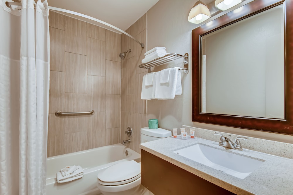 Orangewood Inn & Suites Midtown - photo 29