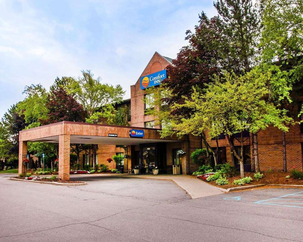 Comfort Inn Livonia - featured photo
