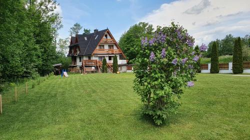 Willa Kosista - last minute hotel in Zakopane