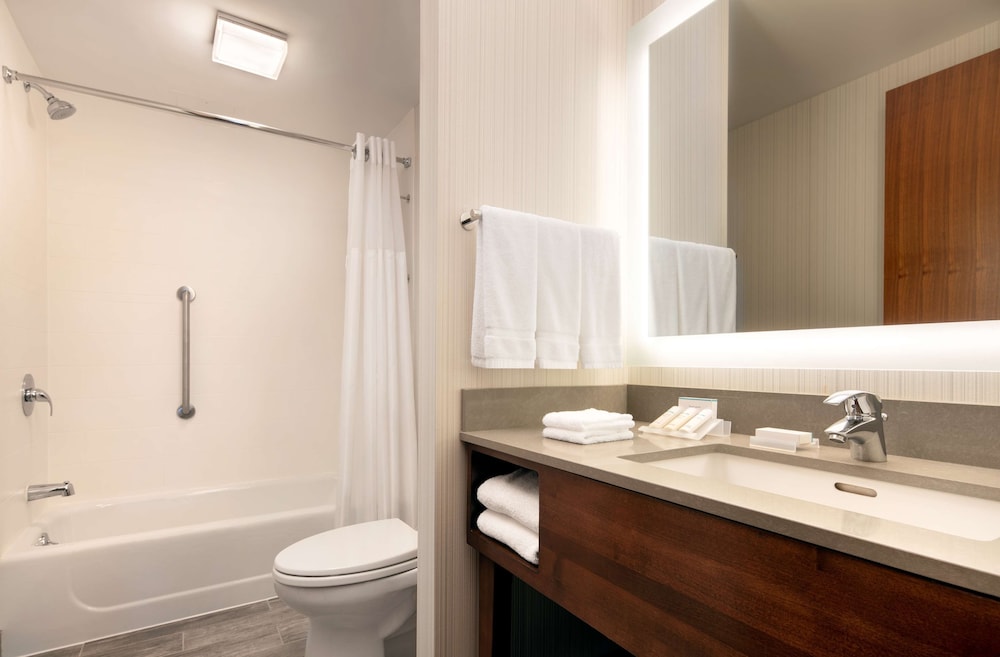 Hilton Garden Inn Long Island City New York - photo 26