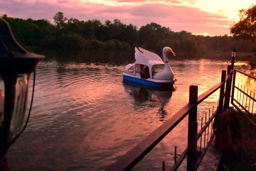 Pelican Lake safari resort in Unknown City, Sri Lanka