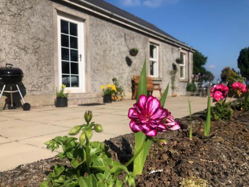 Ballyconnelly Cottages Galgorm area — 4-Star Luxury Hotel in Cullybackey, United Kingdom