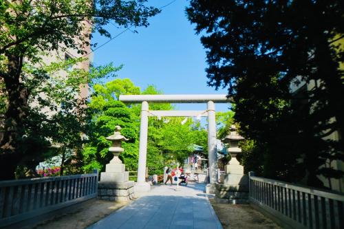  21826934 — Matsudo
