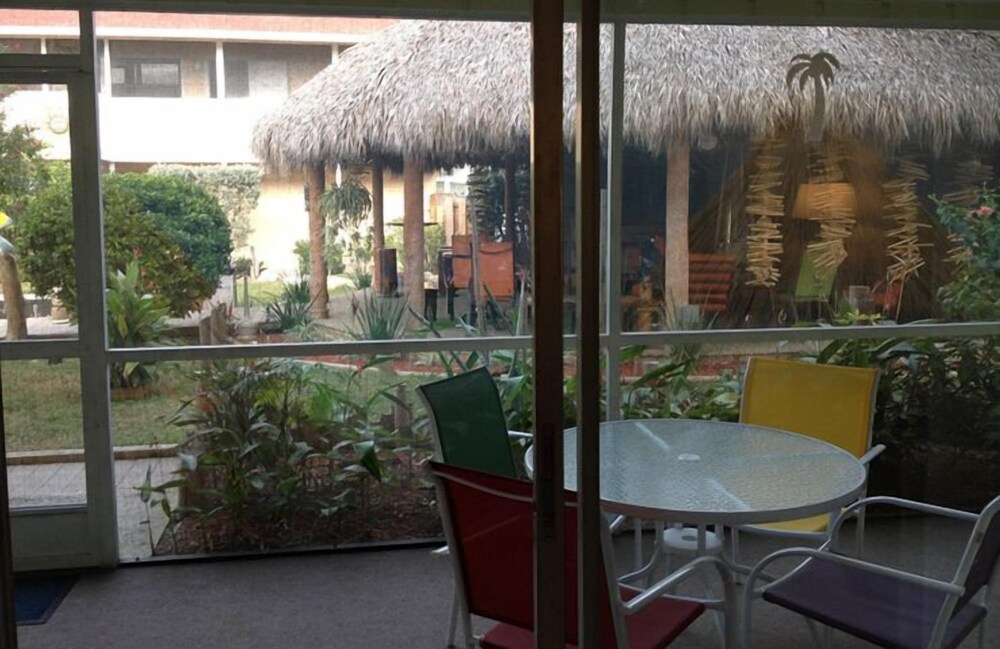 Palm Terrace - photo 32
