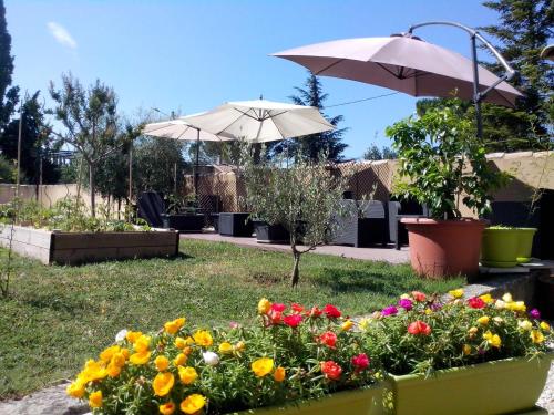 Le Moulin de Milan — Cheval-Blanc — photo 5