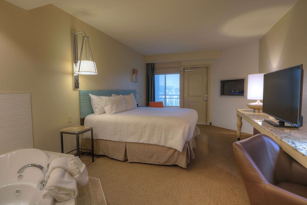 Hilton Garden Inn Pigeon Forge - photo 20