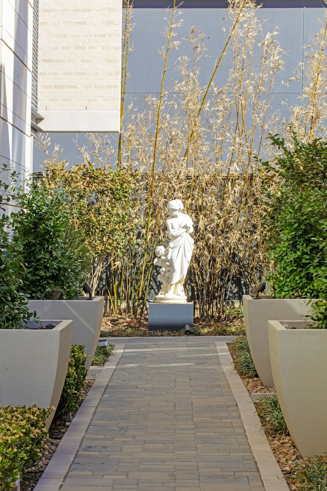 La Colombe d'Or Hotel - photo 155