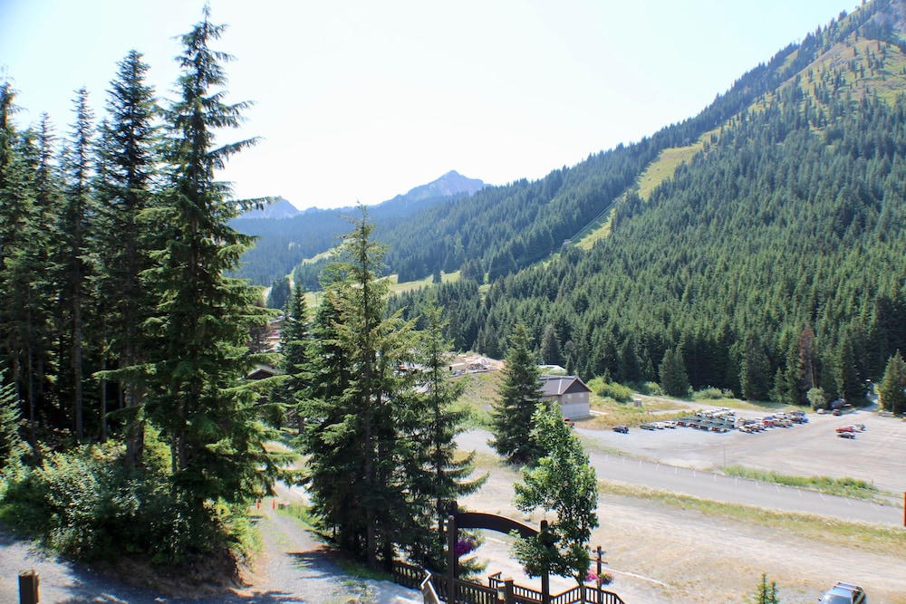 Crystal Chalets Condominiums at Crystal Mountain Ski Resort - photo 189