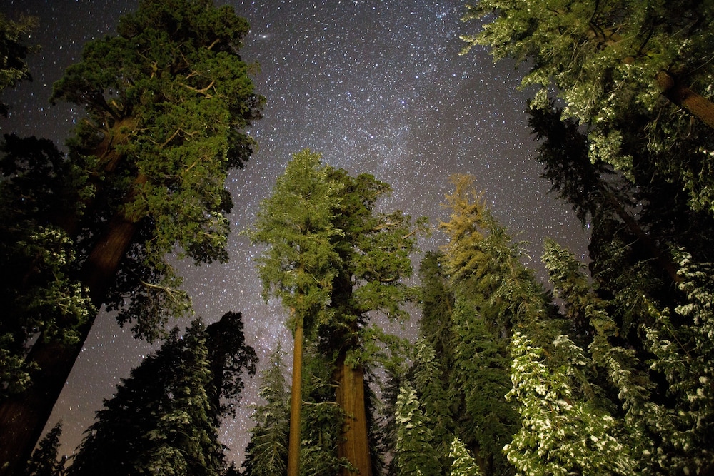 Wuksachi Lodge - photo 54