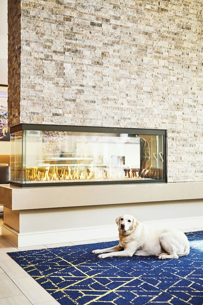 Residence Inn by Marriott Berkeley - photo 2