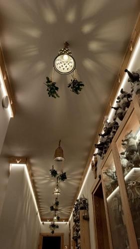 Wiślański Renifer in Wisla, Poland