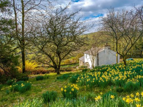Waingap Cottage — 4-Star Luxury Hotel in Crook, United Kingdom