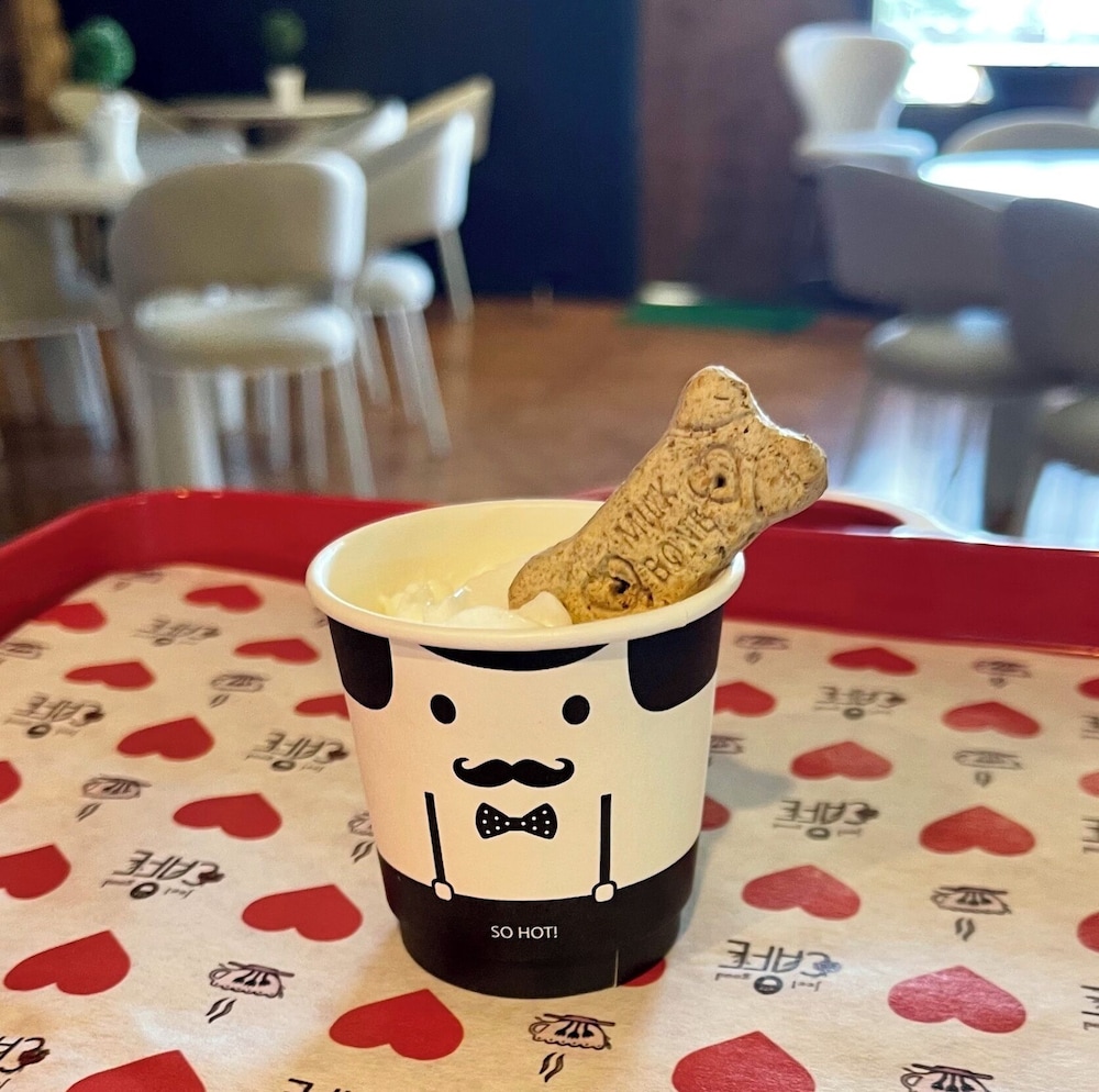 Bavarian Inn Black Hills - featured photo