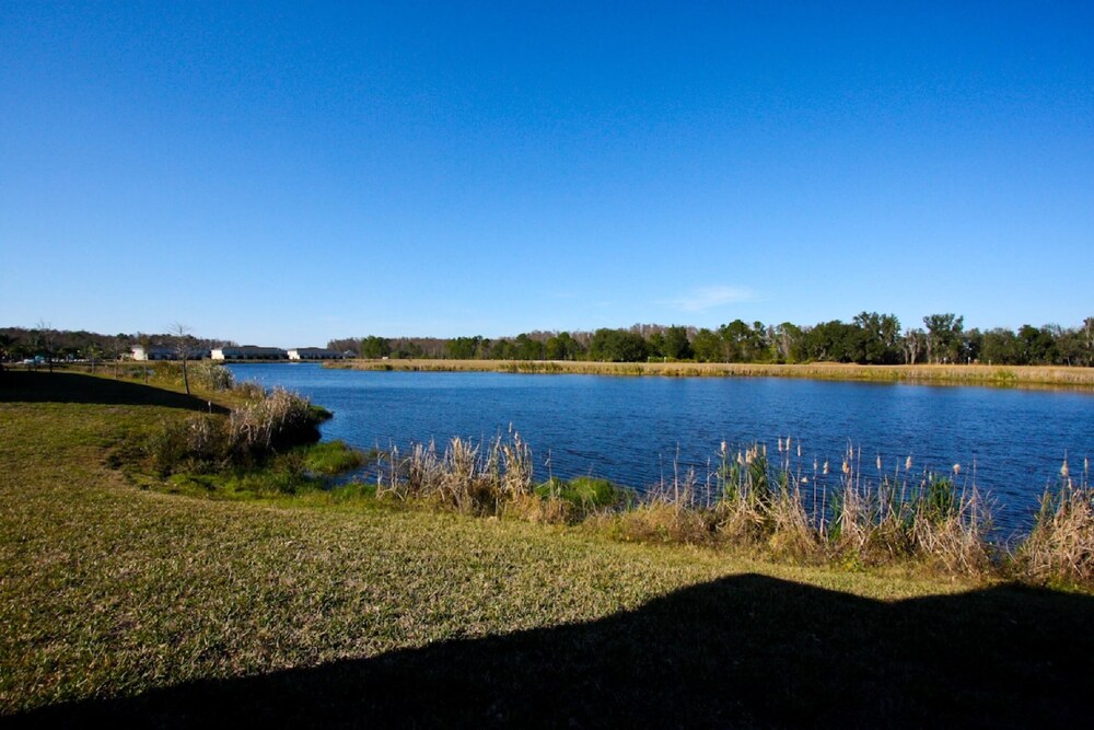 2633 Trafalgar Village - photo 36
